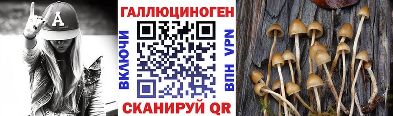 Псилоцибиновые грибы Psilocybine cubensis  купить наркотик  Абдулино 